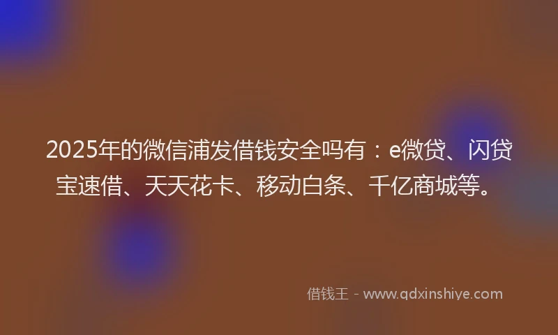 2025年的微信浦发借钱安全吗有：e微贷、闪贷宝速借、天天花卡、移动白条、千亿商城等。