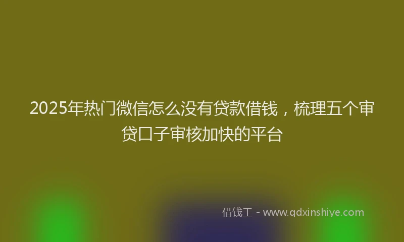2025年热门微信怎么没有贷款借钱，梳理五个审贷口子审核加快的平台