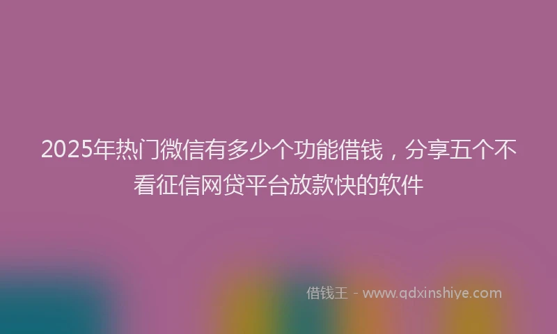 2025年热门微信有多少个功能借钱，分享五个不看征信网贷平台放款快的软件