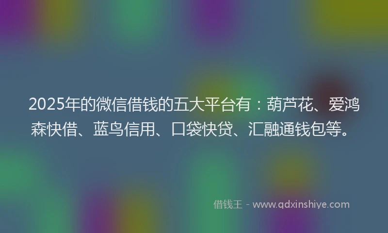 2025年的微信借钱的五大平台有：葫芦花、爱鸿森快借、蓝鸟信用、口袋快贷、汇融通钱包等。