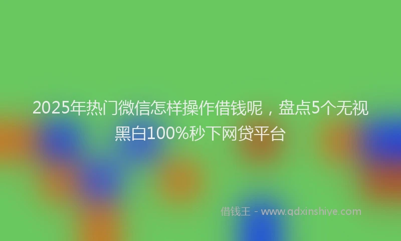 2025年热门微信怎样操作借钱呢，盘点5个无视黑白100%秒下网贷平台
