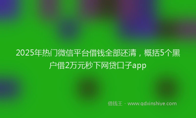 2025年热门微信平台借钱全部还清，概括5个黑户借2万元秒下网贷口子app