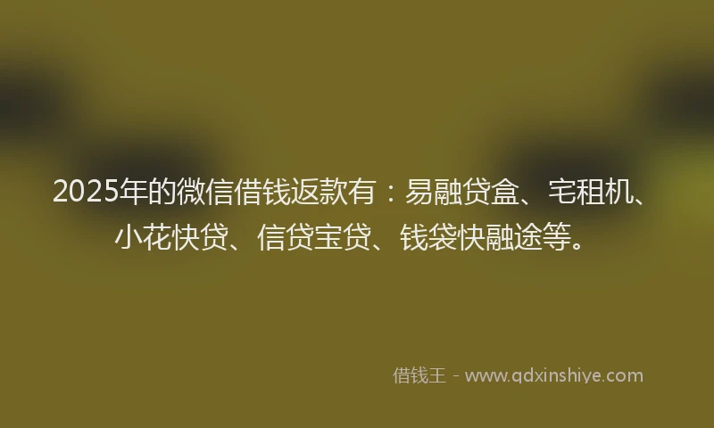 2025年的微信借钱返款有：易融贷盒、宅租机、小花快贷、信贷宝贷、钱袋快融途等。