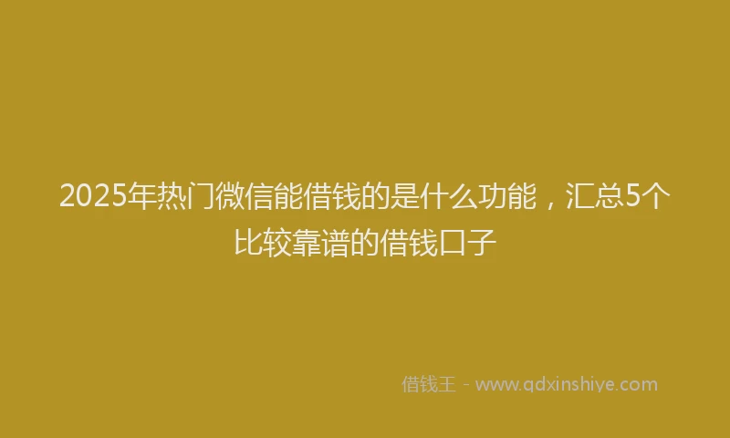 2025年热门微信能借钱的是什么功能，汇总5个比较靠谱的借钱口子