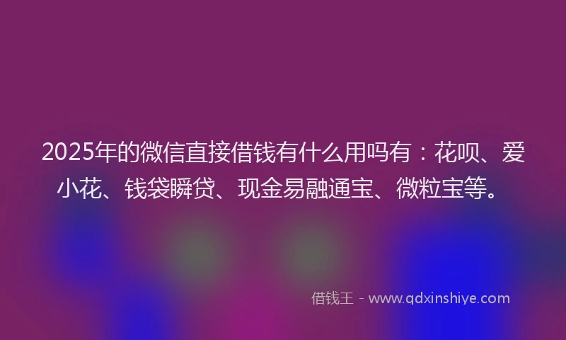 2025年的微信直接借钱有什么用吗有：花呗、爱小花、钱袋瞬贷、现金易融通宝、微粒宝等。