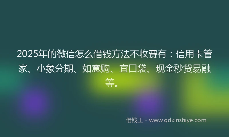 2025年的微信怎么借钱方法不收费有：信用卡管家、小象分期、如意购、宜口袋、现金秒贷易融等。