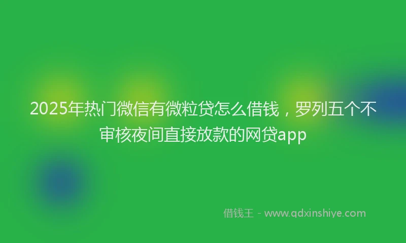 2025年热门微信有微粒贷怎么借钱，罗列五个不审核夜间直接放款的网贷app