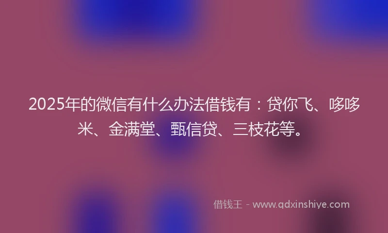 2025年的微信有什么办法借钱有：贷你飞、哆哆米、金满堂、甄信贷、三枝花等。