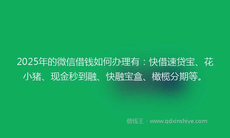 2025年的微信借钱如何办理有：快借速贷宝、花小猪、现金秒到融、快融宝盒、橄榄分期等。