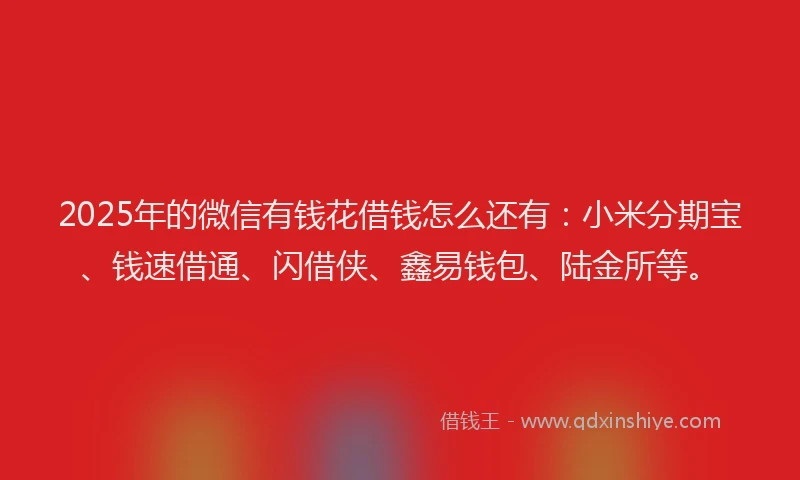 2025年的微信有钱花借钱怎么还有：小米分期宝、钱速借通、闪借侠、鑫易钱包、陆金所等。