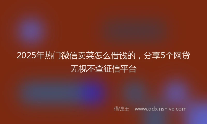 2025年热门微信卖菜怎么借钱的，分享5个网贷无视不查征信平台