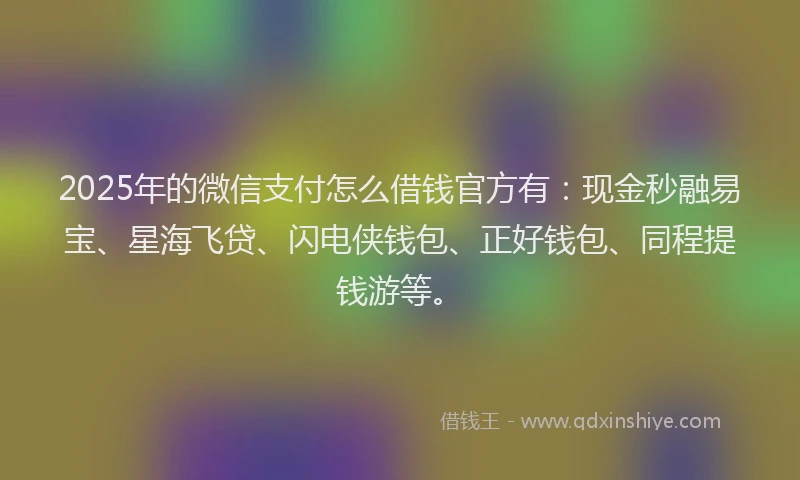 2025年的微信支付怎么借钱官方有：现金秒融易宝、星海飞贷、闪电侠钱包、正好钱包、同程提钱游等。