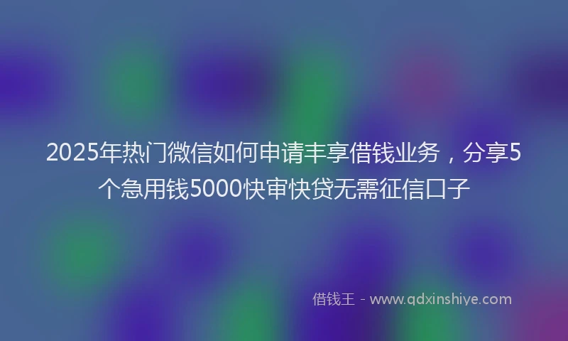 2025年热门微信如何申请丰享借钱业务，分享5个急用钱5000快审快贷无需征信口子