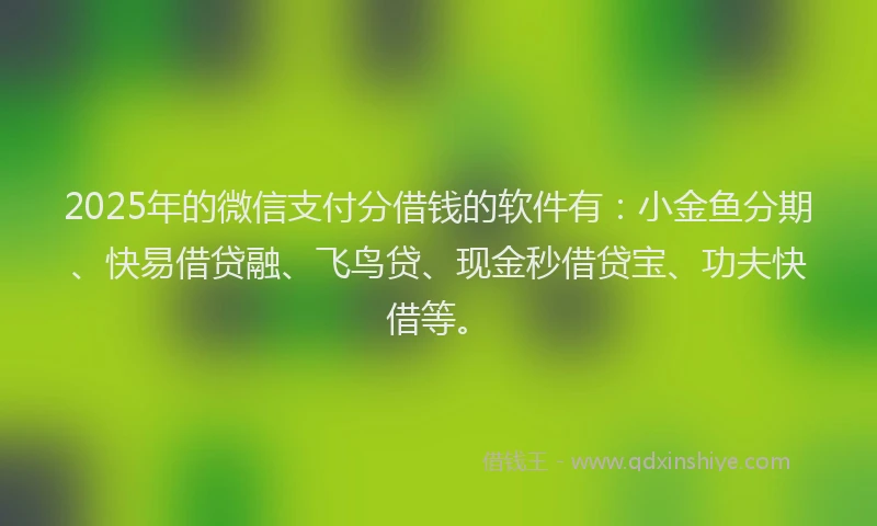 2025年的微信支付分借钱的软件有：小金鱼分期、快易借贷融、飞鸟贷、现金秒借贷宝、功夫快借等。