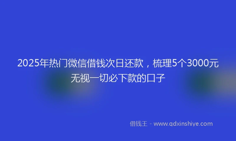 2025年热门微信借钱次日还款，梳理5个3000元无视一切必下款的口子