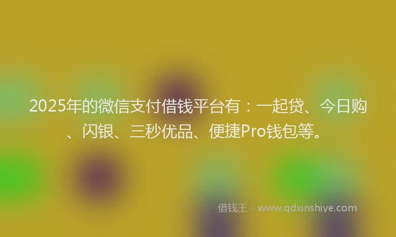 2025年的微信支付借钱平台有：一起贷、今日购、闪银、三秒优品、便捷Pro钱包等。