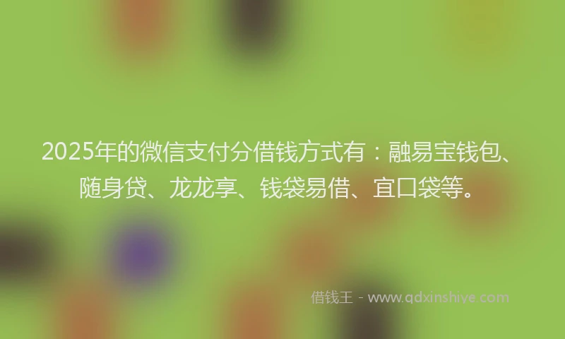 2025年的微信支付分借钱方式有：融易宝钱包、随身贷、龙龙享、钱袋易借、宜口袋等。
