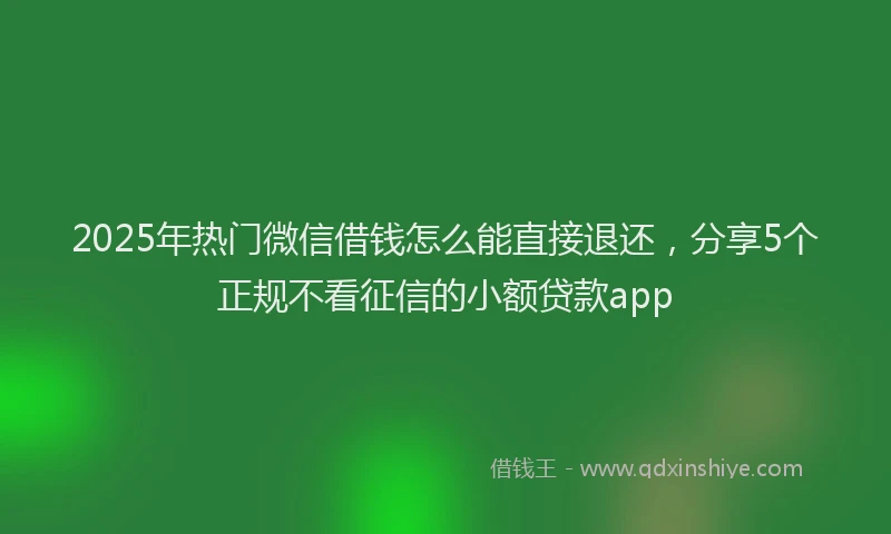 2025年热门微信借钱怎么能直接退还，分享5个正规不看征信的小额贷款app
