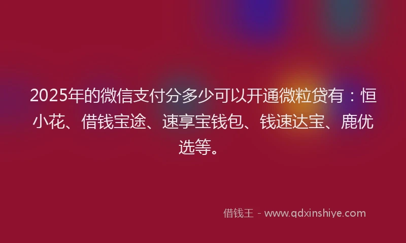 2025年的微信支付分多少可以开通微粒贷有：恒小花、借钱宝途、速享宝钱包、钱速达宝、鹿优选等。