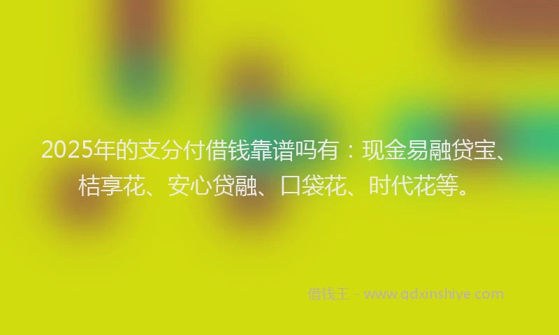 2025年的支分付借钱靠谱吗有：现金易融贷宝、桔享花、安心贷融、口袋花、时代花等。