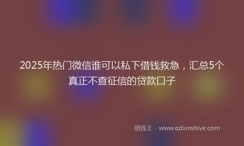 2025年热门微信谁可以私下借钱救急，汇总5个真正不查征信的贷款口子