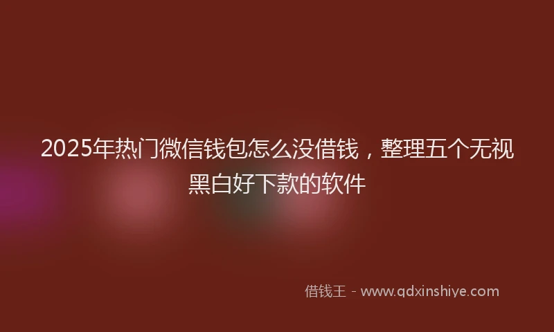 2025年热门微信钱包怎么没借钱，整理五个无视黑白好下款的软件