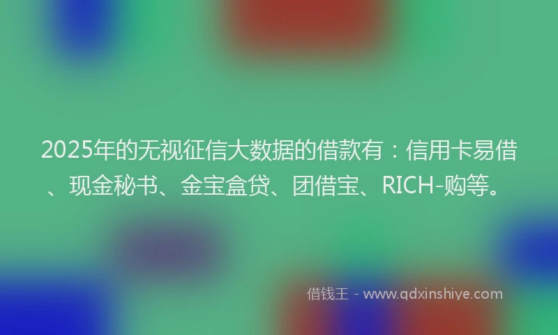 2025年的无视征信大数据的借款有：信用卡易借、现金秘书、金宝盒贷、团借宝、RICH-购等。