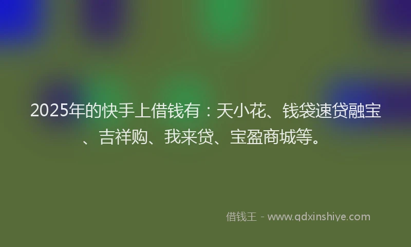 2025年的快手上借钱有：天小花、钱袋速贷融宝、吉祥购、我来贷、宝盈商城等。