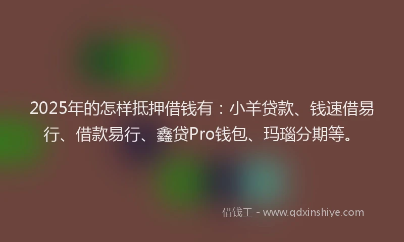 2025年的怎样抵押借钱有：小羊贷款、钱速借易行、借款易行、鑫贷Pro钱包、玛瑙分期等。