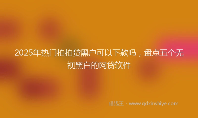 2025年热门拍拍贷黑户可以下款吗，盘点五个无视黑白的网贷软件