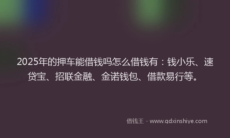 2025年的押车能借钱吗怎么借钱有：钱小乐、速贷宝、招联金融、金诺钱包、借款易行等。