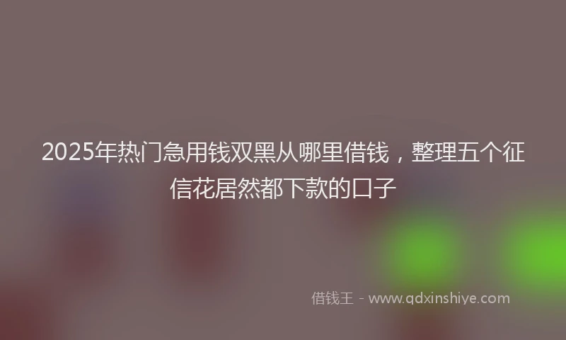 2025年热门急用钱双黑从哪里借钱，整理五个征信花居然都下款的口子