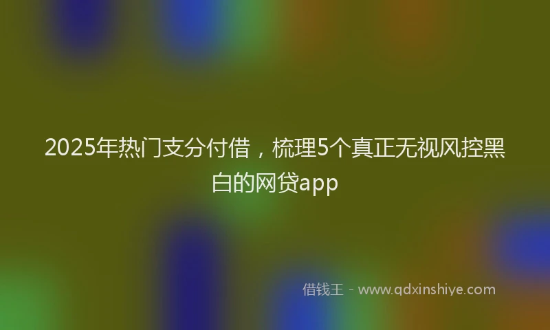 2025年热门支分付借，梳理5个真正无视风控黑白的网贷app