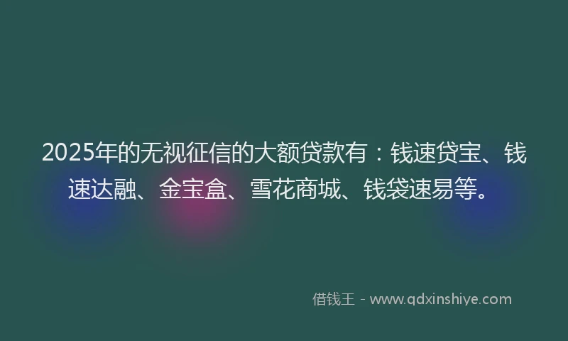 2025年的无视征信的大额贷款有：钱速贷宝、钱速达融、金宝盒、雪花商城、钱袋速易等。
