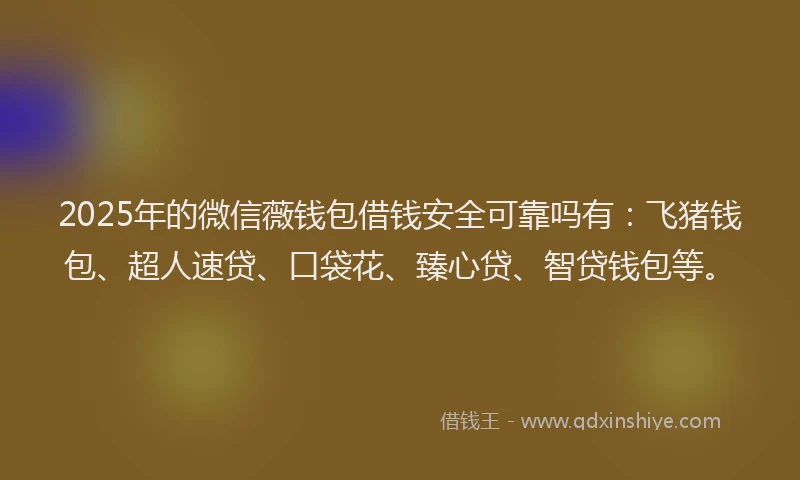 2025年的微信薇钱包借钱安全可靠吗有：飞猪钱包、超人速贷、口袋花、臻心贷、智贷钱包等。