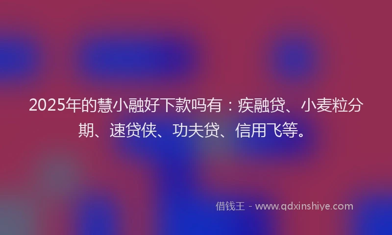 2025年的慧小融好下款吗有：疾融贷、小麦粒分期、速贷侠、功夫贷、信用飞等。