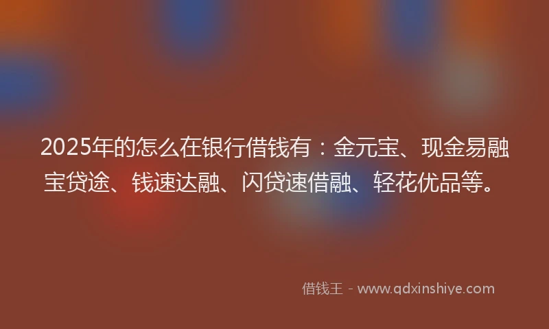 2025年的怎么在银行借钱有：金元宝、现金易融宝贷途、钱速达融、闪贷速借融、轻花优品等。