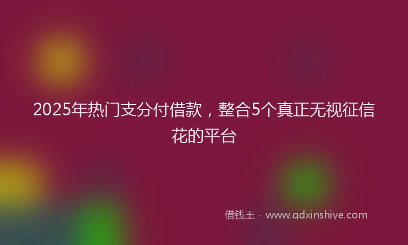 2025年热门支分付借款，整合5个真正无视征信花的平台