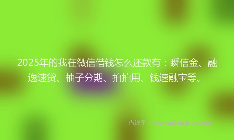 2025年的我在微信借钱怎么还款有：瞬信金、融逸速贷、柚子分期、拍拍用、钱速融宝等。