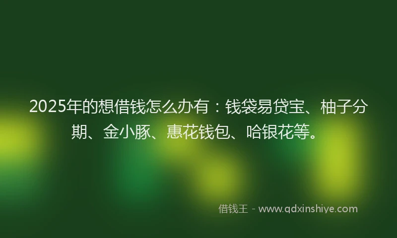 2025年的想借钱怎么办有：钱袋易贷宝、柚子分期、金小豚、惠花钱包、哈银花等。