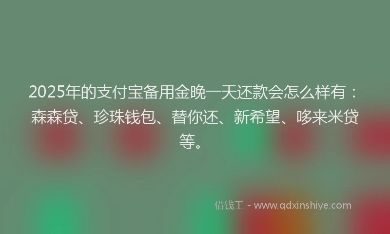 2025年的支付宝备用金晚一天还款会怎么样有：森森贷、珍珠钱包、替你还、新希望、哆来米贷等。