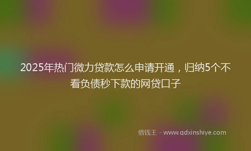 2025年热门微力贷款怎么申请开通，归纳5个不看负债秒下款的网贷口子