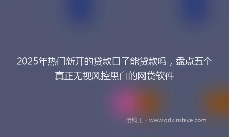 2025年热门新开的贷款口子能贷款吗，盘点五个真正无视风控黑白的网贷软件