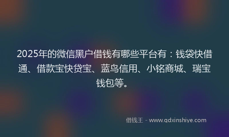 2025年的微信黑户借钱有哪些平台有：钱袋快借通、借款宝快贷宝、蓝鸟信用、小铭商城、瑞宝钱包等。