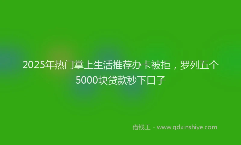 2025年热门掌上生活推荐办卡被拒，罗列五个5000块贷款秒下口子