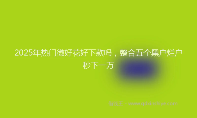2025年热门微好花好下款吗，整合五个黑户烂户秒下一万