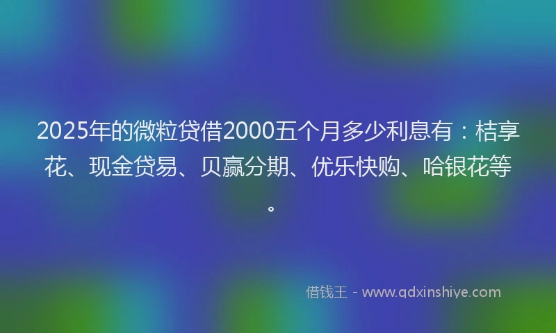 2025年的微粒贷借2000五个月多少利息有：桔享花、现金贷易、贝赢分期、优乐快购、哈银花等。