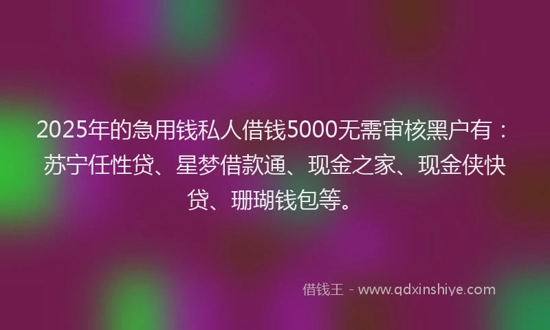 2025年的急用钱私人借钱5000无需审核黑户有：苏宁任性贷、星梦借款通、现金之家、现金侠快贷、珊瑚钱包等。