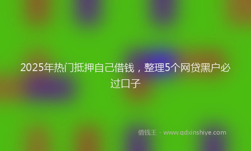 2025年热门抵押自己借钱，整理5个网贷黑户必过口子