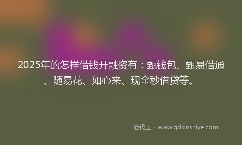 2025年的怎样借钱开融资有：甄钱包、甄易借通、随易花、如心来、现金秒借贷等。
